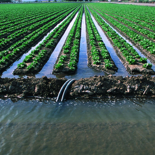 Применение