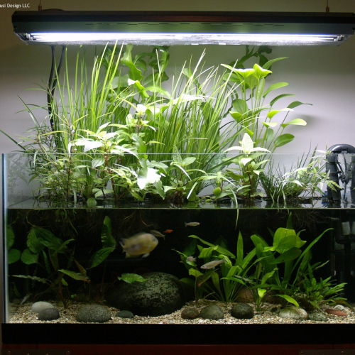 Применение